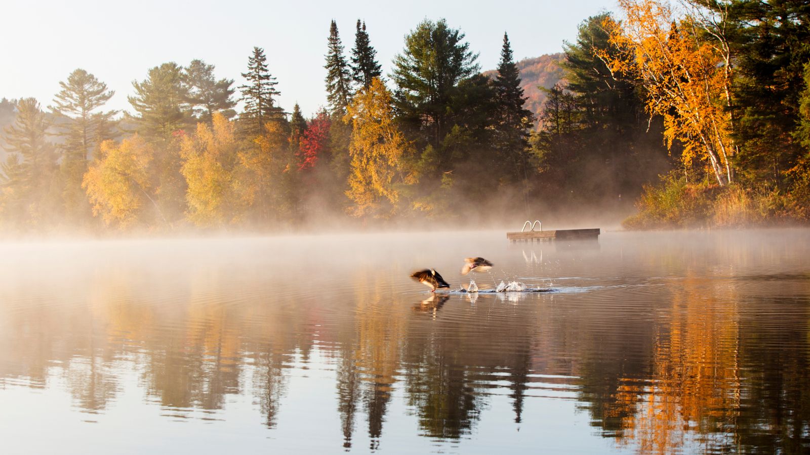 Première propriété dans les Laurentides : un achat qui se prépare bien avant la visite